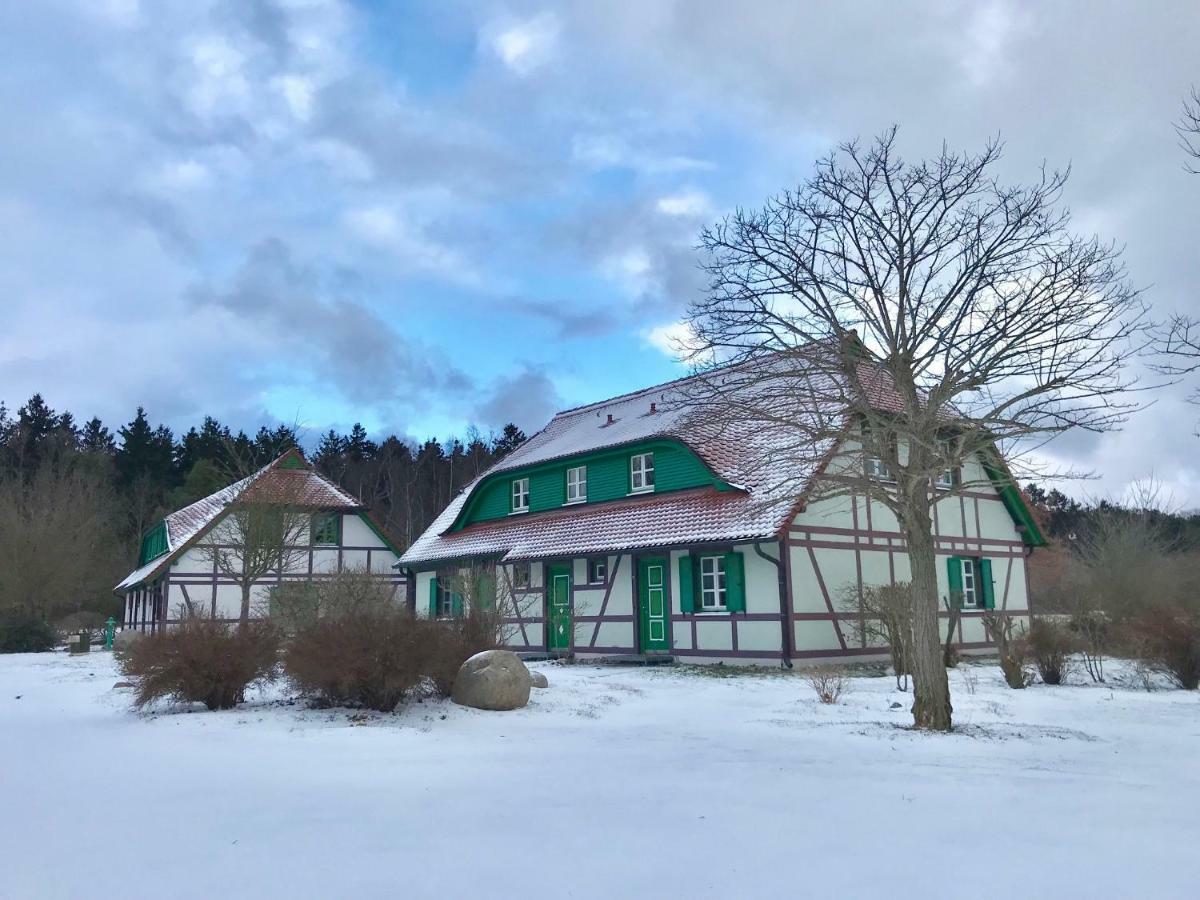 Strandnahe Ferienwohnung Ruegen Dranske Exterior foto